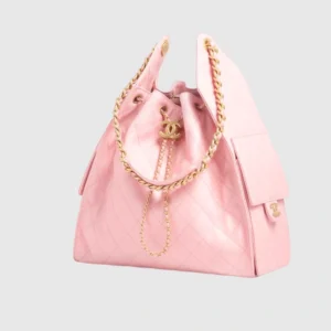 CHANEL 25 Medium Handbag