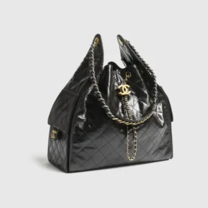 CHANEL 25 Medium Handbag