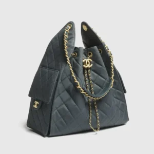 CHANEL 25 Medium Handbag