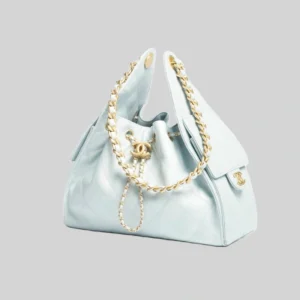 CHANEL 25 Small Handbag