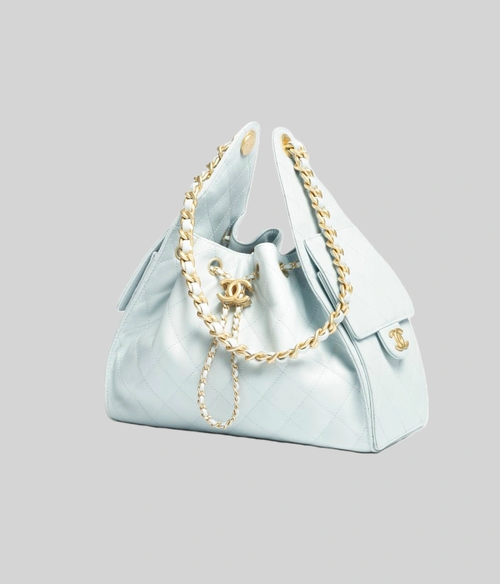 CHANEL 25 Small Handbag