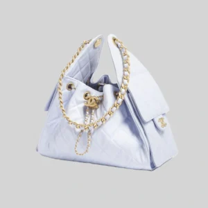 CHANEL 25 Small Handbag