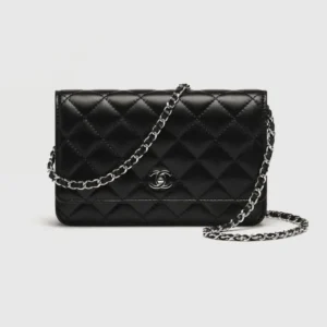 Classic Wallet on Chain