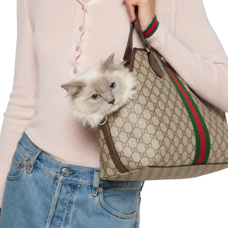 GG Monogram small pet tote bag - Image 8