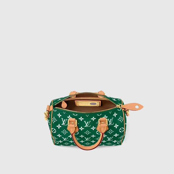 Speedy P9 Bandoulière 25 - Image 8