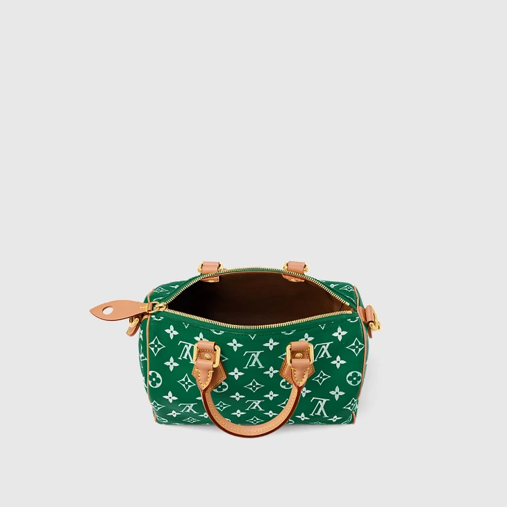 Speedy P9 Bandoulière 25 - Image 10